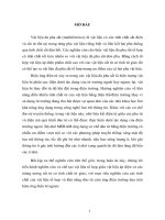 Chế tạo và nghiên cứu một số tính chất đặc trưng của vật liệu tổ hợp cấu trúc micronano trên nền sắt điện định hướng ứng dụng trong lưu trữ thông tin