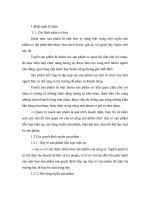 Đề tài chiến lược marketing của việt tiến