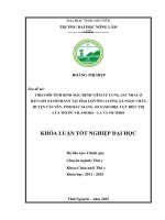 Theo dõi tình hình mắc bệnh viêm tử cung, sát nhau ở đàn lợn nái sinh sản tại trại lợn ông Lương xã Ngọc Châu  huyện Tân Yên  tỉnh Bắc Giang, so sánh hiệu lực điều trị của thuốc vilamoks – LA và mutibio.