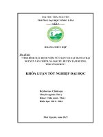 Tình hình mắc bệnh viêm vú ở lợn nái tại trang trại nguyễn văn chiêm, xã đạo tú   huyện tam dương   tỉnh vĩnh phúc 
