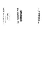 MÓNG cọc  võ PHÁN  tính toán và thiết kế móng cọc