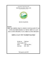 Hiệu quả phòng trị của thuốc Coxymax đến tỷ lệ, cường độ nhiễm bệnh Cầu trùng trên gà lai F1 (Ri x Lương Phượng) và F1 (Chọi x Lương Phượng).