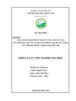 Thực trạng hội chứng viêm tử cung, viêm vú, mất sữa trên đàn lợn nái tại trại Ngô Hồng Gấm huyện Lương Sơn tỉnh Hòa Bình và biện pháp điều trị.