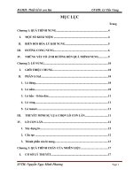 Tính toán thiết kế lò con lăn sản xuất gạch lát nền (Thuyết minh+ bản vẽ chi tiết lò)