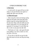 Tài liệu ôn thi y chuyên tu năm 2016 CƠ QUAN SINH dục NAM