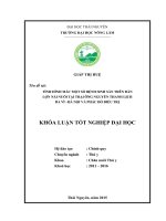 Tình hình mắc một số bệnh sinh sản trên đàn lợn nái nuôi tại trại ông Nguyễn Thanh Lịch – Ba Vì – Hà Nội và phác đồ điều trị.