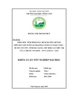 Theo dõi tình hình mắc bệnh đường hô hấp trên đàn lợn nuôi tại trại ông lương xã ngọc châu – huyện tân yên – tỉnh bắc giang, thử hiệu lực điều trị của 2 thuốc tylosin – 50 và linco – gen 