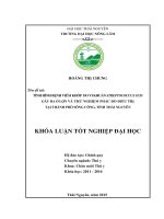 Tình hình bệnh viêm khớp do vi khuẩn Streptococcus suis gây ra ở lợn và thử nghiệm phác đồ điều trị tại thành phố Sông Công  tỉnh Thái Nguyên