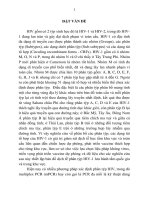Nghiên cứu ứng dụng mPCR để xác định phân týp của HIV1 ở Hà Nội  Viêng Chăn (2007 2011)