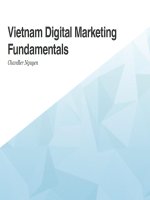 Vietnam Digital Marketing Fundamentals Vol 1