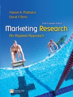 Marketing research an applied approach 3e malhotra david birks