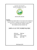 Tình hình mắc bệnh viêm tử cung ở lợn nái sinh sản nuôi tại Công ty TNHH MTV Lợn giống Lạc Vệ, xã Lạc Vệ, huyện Tiên Du, tỉnh Bắc Ninh và thử nghiệm hai phác đồ đồ điều trị