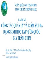 Slide thuyết trình công tác quản lý và giám sát đa dạng sinh học tại vườn quốc gia tràm chim 