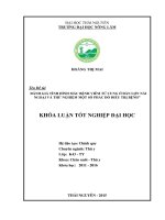 Đánh giá tình hình mắc bệnh viêm tử cung ở đàn lợn nái ngoại và thử nghiệm một số phác đồ điều trị bệnh 