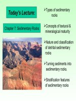More sedimentary rocks 