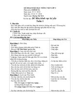 Kế hoạch bài dạy tiếng việt lớp 4 phân môn chính tả (2) 