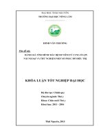 Đánh giá tình hình mắc bệnh viêm tử cung ở lợn nái ngoại và thử nghiệm một số phác đồ điều trị 