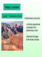 Even more sedimentary rocks 