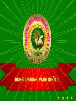 Trò chơi rung chuông vàng khối 1