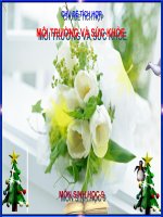 tích hợp môi trường và sức khỏe tiết 30 bài 29 bệnh và tật di truyền ở người