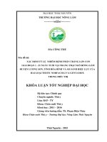 Xác định tỷ lệ nhiễm bệnh phân trắng lợn con giai đoạn 1  21 ngày tuổi tại trang trại Ngô Hồng Gấm  huyện Lương Sơn  tỉnh Hòa Bình và so sánh hiệu lực của hai loại thuốc Norfacoli và Gentamox trong điều trị