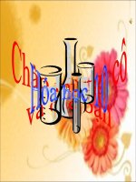 Hydroclorua và axit clohydric và muối clorua