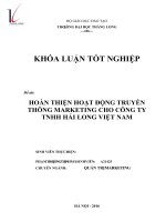 Hoàn thiện hoạt động truyền thông marketing cho công ty TNHH hải long việt nam 
