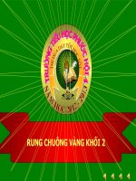 Trò chơi rung chuông vàng khối 2