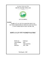 Nghiên cứu các yếu tố ảnh hưởng đến tỷ lệ mắc một số bệnh sinh sản trên đàn lợn nái ngoại và thử nghiệm một số phác đồ điều trị 