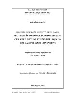 Nghiên cứu biểu hiện và tinh sạch protein tái tổ hợp glycoprotein (GP5) của virus gây hội chứng rối loạn hô hấp và sinh sản ở lợn (PRRSV)