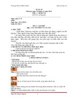 giao an Vnen lop 3 tuan 10