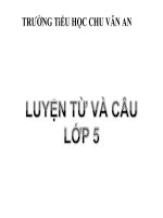 MRVT bảo vệ môi trường tuần  13 
