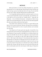 Thiết kế vector biểu hiện gen mã hóa legumain