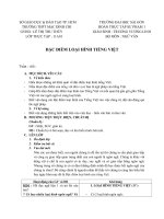 Đặc điểm loại hình tiếng việt