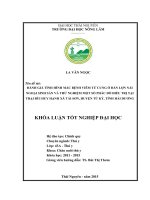Đánh giá tình hình mắc bệnh viêm tử cung ở đàn lợn nái ngoại sinh sản và thử nghiệm một số phác đồ điều trị tại trại bùi huy hạnh, xã tái sơn   huyện tứ kỳ   tỉnh hải dương 