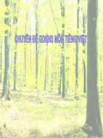 tập làm văn luyện tập làm đơn 