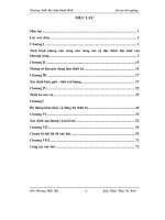 Đề tài Thiết kế sơ bộ mỏ đá vôi Áng Dâu