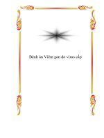 Bệnh án Viêm gan do virus cấp