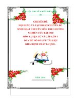 CHUYÊN ĐỀ  NỘI DUNG VÀ TẬP HỒ SƠ CHUYÊN ĐỀ  SINH HOẠT CHUYÊN MÔN THEO HƯỚNG   NGHIÊN CỨU BÀI HỌC  MÔN LUYỆN TỪ VÀ CÂU LỚP 4  ĐẦY ĐỦ HỒ SƠ LƯU TÀI LIỆU  KIỂM ĐỊNH CHẤT LƯỢNG.