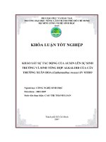 Khảo sát sự tác động của auxin lên sự sinh trưởng và sinh tổng hợp alkaloid của cây trường xuân hoa (catharanthus roseus) in vitro