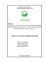 Ảnh hưởng của việc bổ sung vitamin ADE đến phòng bệnh phân trắng lợn con giai đoạn 1   60 ngày tuổi tại trại lợn thương phẩm ở văn giang   hưng yên