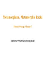 chapter 7 metamorphic rocks 