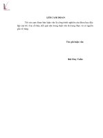 Hoàn thiện công tác kiểm tra thuế tại chi cục thuế thị xã sơn tây   cục thuế TP hà nội 