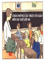 tiết 41 danh từ (tiếp theo)