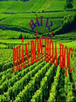 Bai 12 phan bon hoa hoc