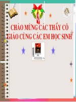 Giáo án dự thi GVG thanh phố năm học 2011 2012 sinh 9 tiết 48 