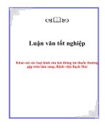 Khảo sát các loại hình câu hỏi thông tin thuốc thường gặp trên lâm sàng, Bệnh viện Bạch Mai