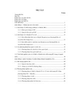 Nghiên cứu kĩ thuật cố định vi khuẩn Streptococcus thermophillus và Lactobacillus bulgaricus trên cellulose sản xuất từ vi khuẩn Acetobacter xylinum