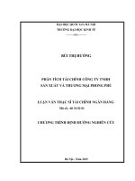 Phân tích tình hình và dự báo tài chính công ty TNHH Phong Phú