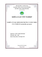 Nghiên cứu đặc điểm sinh trưởng và phát triển của vi khuẩn Lactobacillus sporogenens